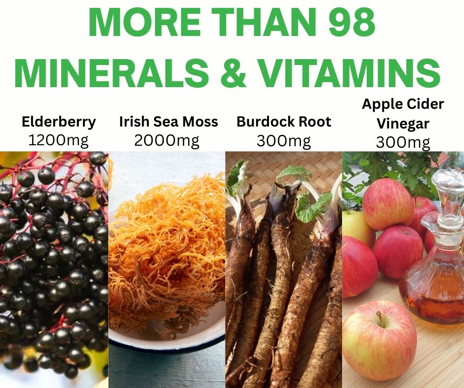Nubian Nutrified Sea Moss & Apple Cider Vinegar Gummies with Bladderwrack & Burdock