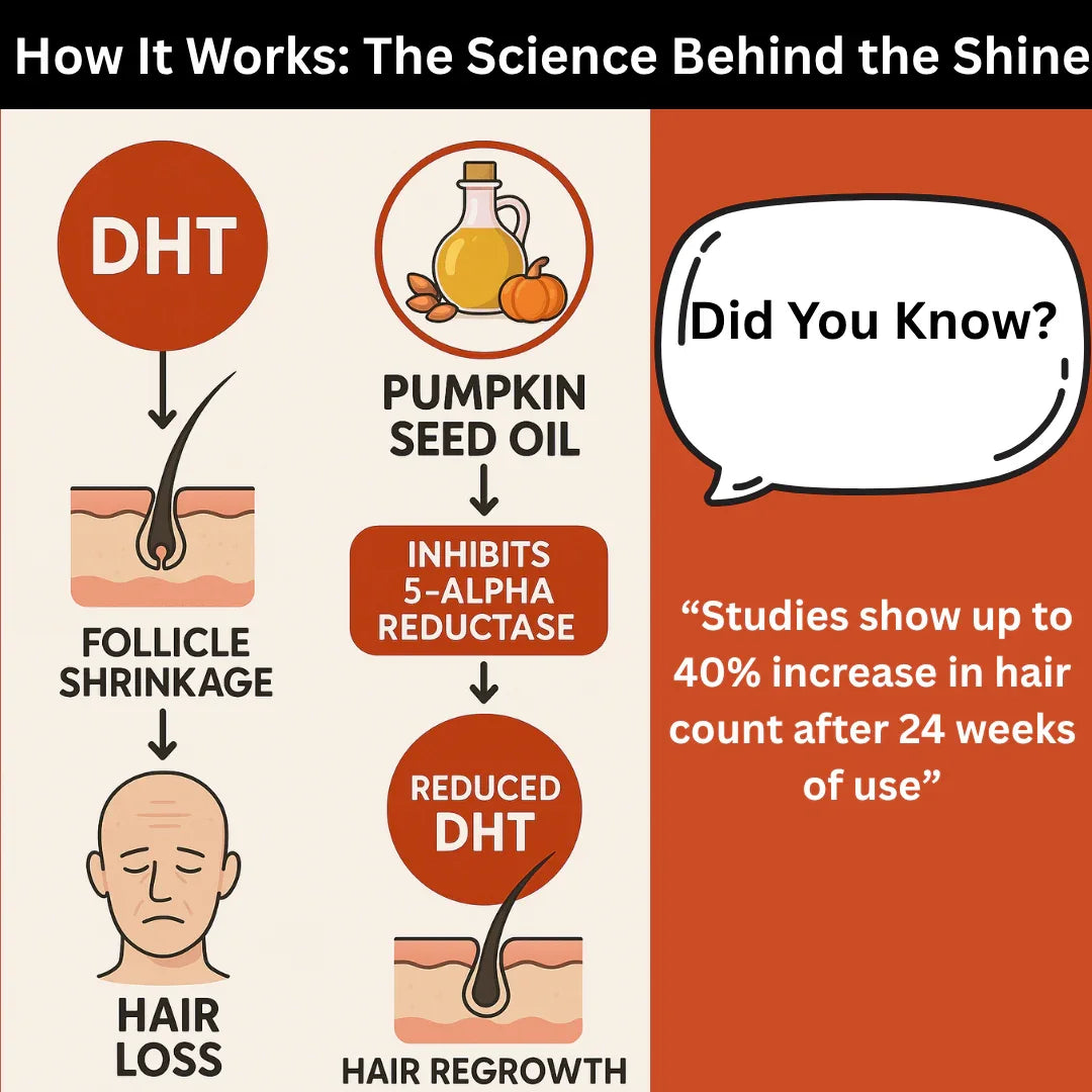 DHT Blocker Pumpkin Seed Oil | Organic DHT Blocker For Women & Men