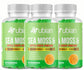Nubian Nutrified Sea Moss & Apple Cider Vinegar Gummies with Bladderwrack & Burdock