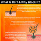 Infographic explaining DHT and its role in hair loss on an orange background