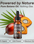 Pure Batana Oil for hair growth and scalp detox, 100% organic and cold-pressed