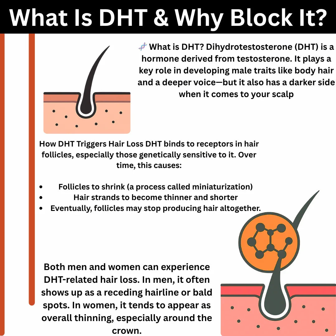 DHT Blocker Pumpkin Seed Oil | Organic DHT Blocker For Women & Men